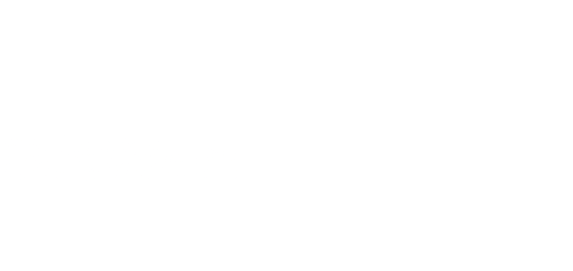 Robintek Columbus Web Design Logo in White